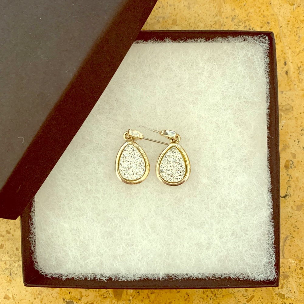 Charming Charlie Earrings